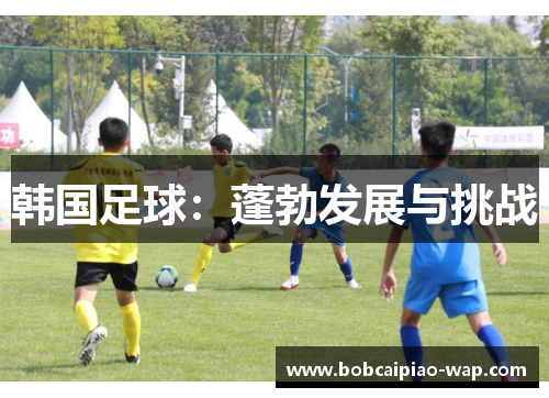 韩国足球：蓬勃发展与挑战